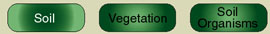 Navigation Bar