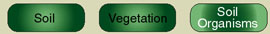 Navigation Bar