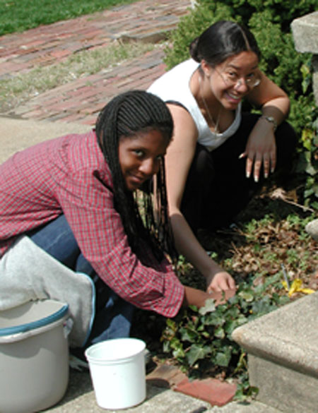 Worm Sampling